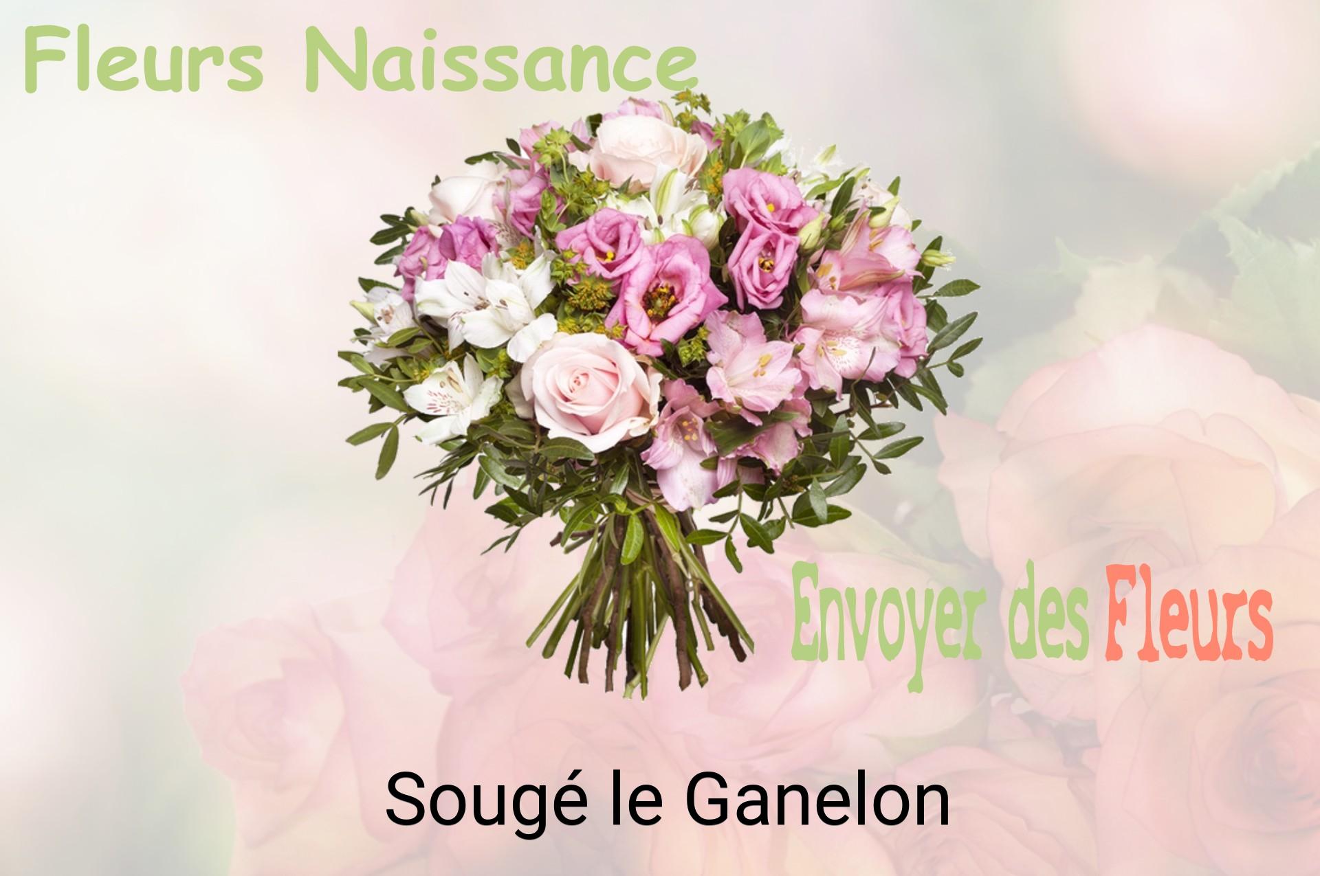 Bouquet de fleurs de naissance livré à Sougé-le-Ganelon