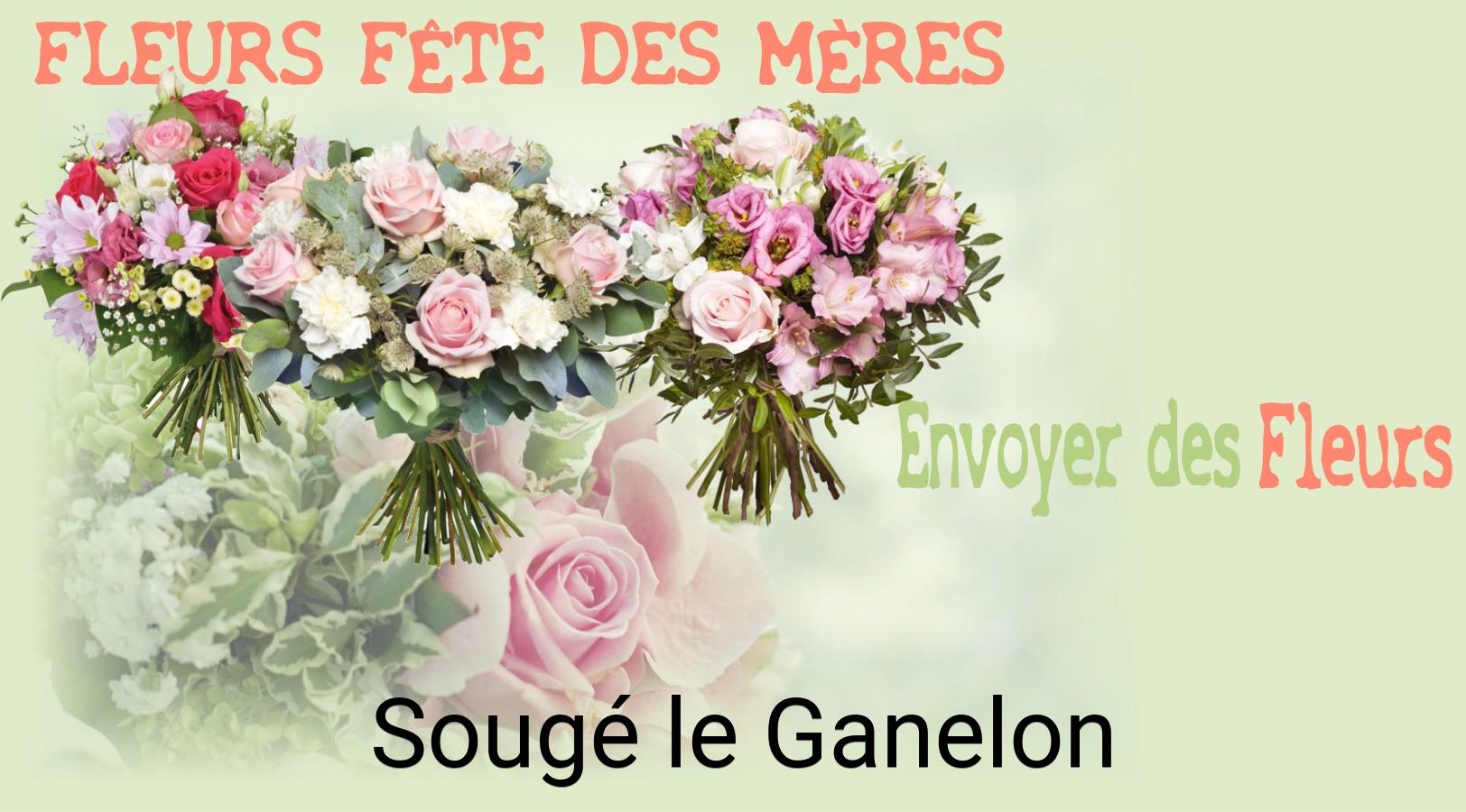 Bouquet de Fête des Mères livré à Sougé-le-Ganelon
